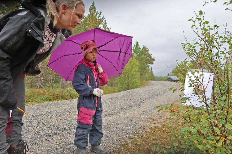 Hva heter tyttebær på engelsk? undrer Maia Lundseng og mamma Mette Lundseng.