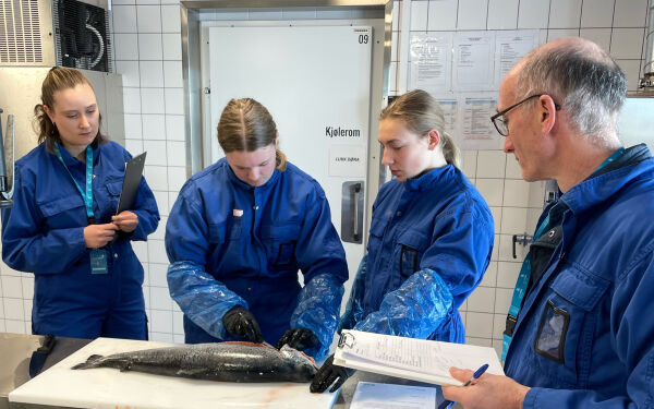Garantert sølv til jentene fra Val