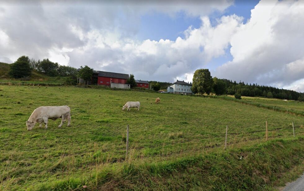 Foldavegen 5015 ble solgt for 2.115.000 kroner.
 Foto: Google Maps