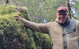 Store mengder trefall i skogen kan gå tapt