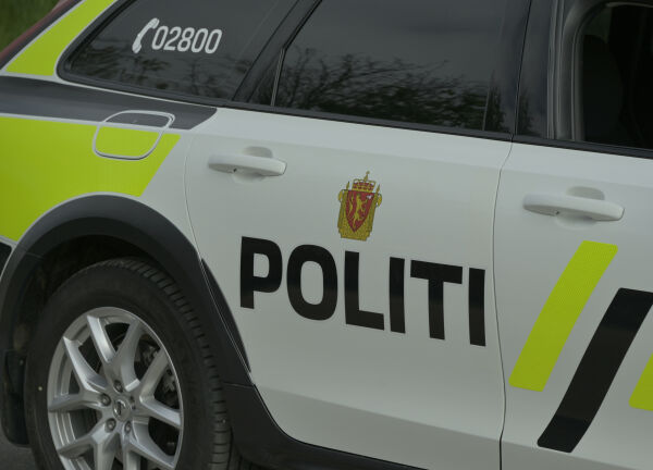 Elg påkjørt i Nærøysund