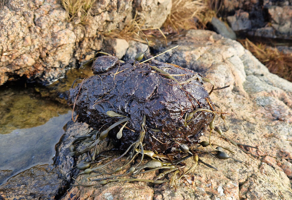 Oljeklump funnet på Frøya.
 Foto: Jan-Egil Eilertsen