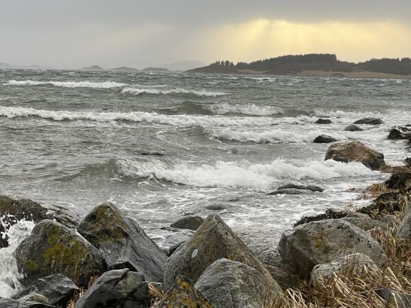 Bilbrann og stiv kuling