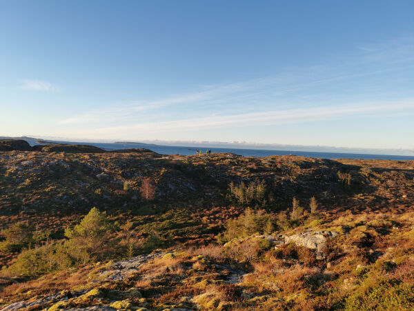 Dette skjedde i natt: Bilvelt i Rørvik