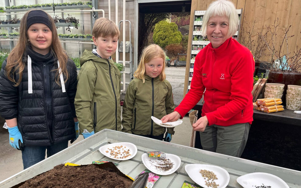 Fra venstre: Mathilde Ramstad, Mathias og Mari Storsve Hammer og Oddrun Hagan er klare for å så årets sommerblomster - og kanskje noen sukkererter.
 Foto: Eirin Kristiansen Ramstad