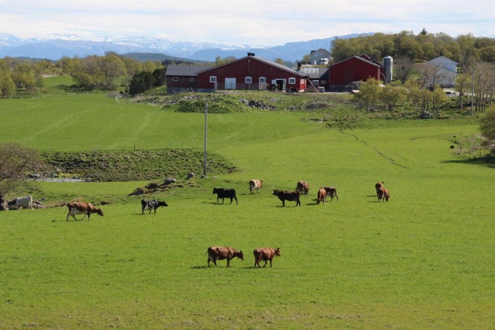 Arnøya
