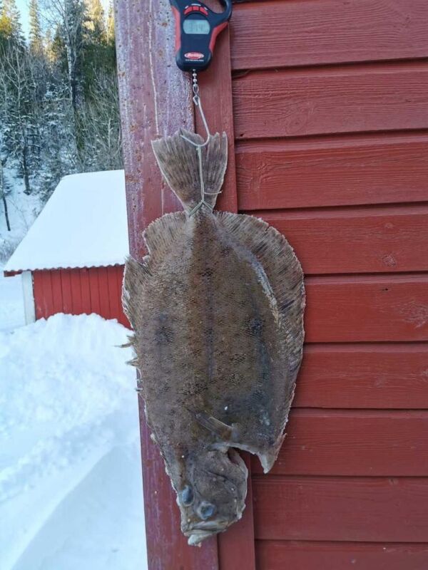 Fikk Norges største glassvar på garn