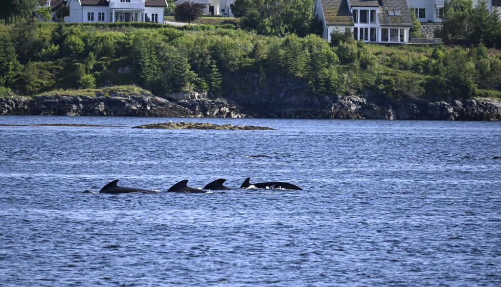 Foto: Renate Rosenvinge.