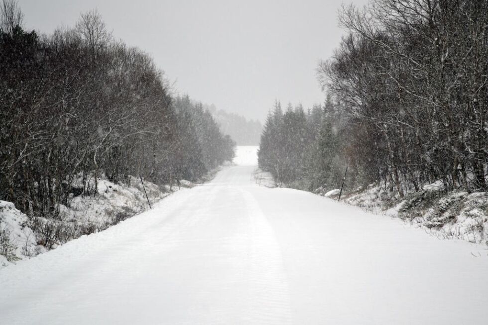 Det har lagt seg mye snø i løpet av natten i ytterdistriktet.