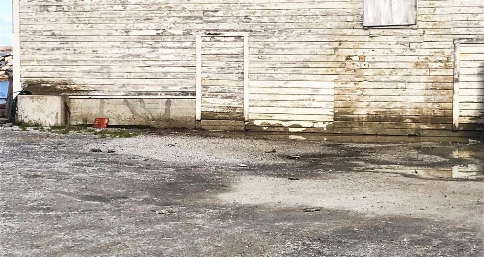 – Det må ryddes opp snarest, sier Vigdis Tønnesen som er fast gjest på Borgan.
 Foto: Privat