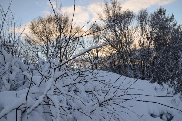 Morgenrapport 4. februar - fortsatt kaldt med glimt av sol
