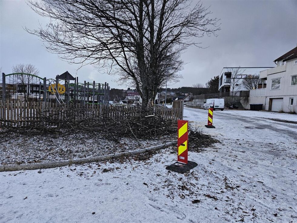Enhet for drift og infrastruktur har hatt en del oppdrag i forbindelse med uværet Ingunn. Her er restene etter et tre som lå over veien ved parken i Rørvik. Dette er et av mange trefall som det er ryddet i.
 Foto: Nærøysund kommune