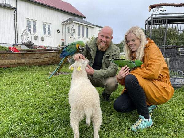 Dyrepark, flytekaianlegg, musikkvideo og hyttefelt opp i formannskapet.