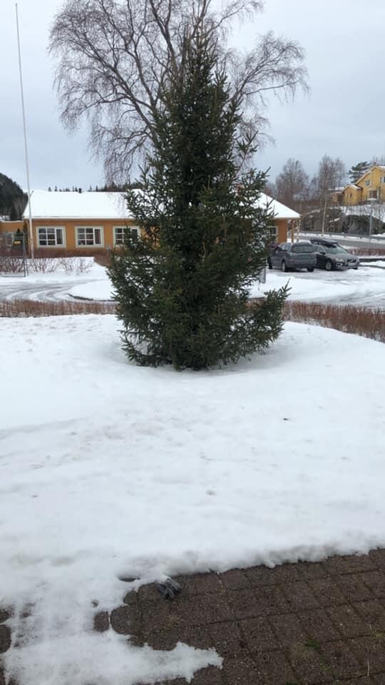 Trenger pynt til påsketreet