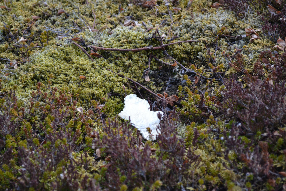 Plastbiter er blant det som fortsatt ligger spredt over et stort område på Husfjellet eom et minne etter landets første vindmøllepark.
 Foto: Andreas Gatare Øvergård