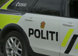 Elg påkjørt i Nærøysund