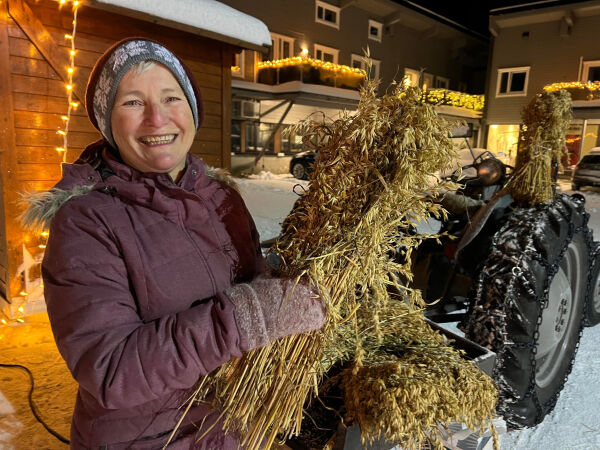Eldrerådet i Nærøysund behandler framtidens frivillighet, dagsturhytte og sykehjemsplasser