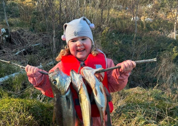 En liten storfisker i Finvika