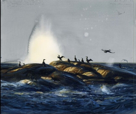 Thorenfeldt lar seg inspirere av naturen hjemme på Hvaler.
 Foto: Illustrasjon, akvarell av Axel Thorenfeldt