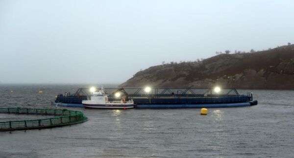 Forsøk skal utføres ved Kvitneset i Nærøy kommune