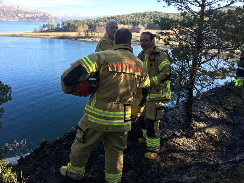 Mannskap fra Bindal brannvesen har fått kontroll med gressbrannen.
 Foto: Privat