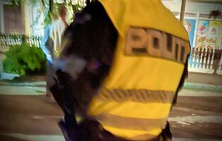 Promillekjøring på Rørvik