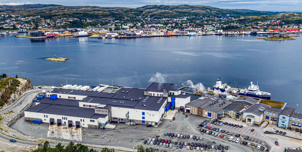 Laksefabrikken på Marøya er arbeidsplass for nær 200 personer i mange ulike yrker.
 Foto: Tom Lysø/Sinkaberg