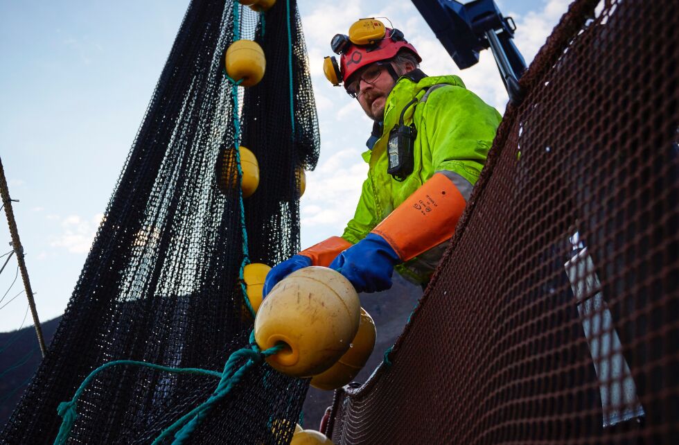 Havbruksnæringen står for de største verdiene i norsk sjømatnæring. De bruker en rekke leverandører rundt om i landet.
 Foto: Audun Iversen