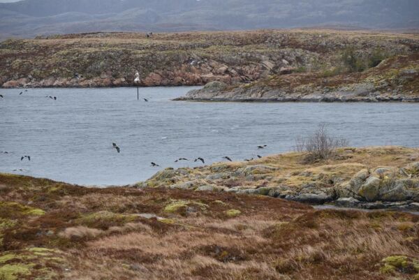 2. april: Langfredagsfjæra, to nye smittetilfeller og vold i eget hjem