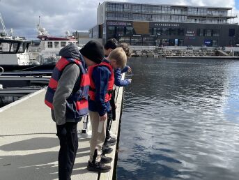 Se hva gutta fisket opp fra kaia i Rørvik