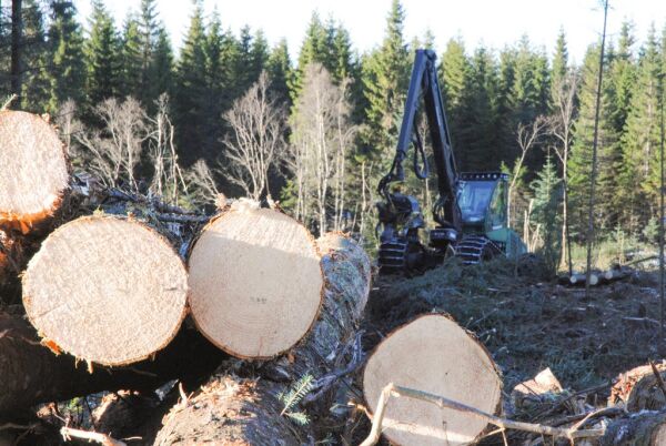 8,6 millioner til Marøystrand