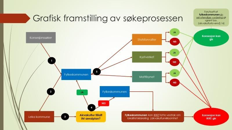 En skjematisk fremstilling av søkeprosessen slik den skal være.
 Illustrasjon: Leka kommune
