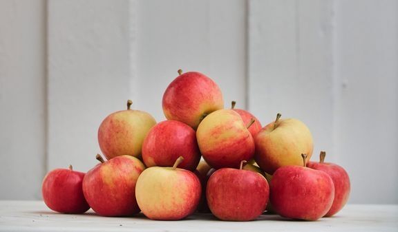 De norske eplene er helt enestående når det kommer til smak, sier Toril Gulbrandsen, matfaglig rådgiver i Opplysningskontoret for frukt og grønt (OFG).