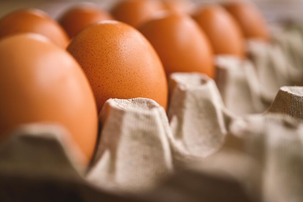 Illustrasjonsbilde egg.
 Foto: Pixabay.com