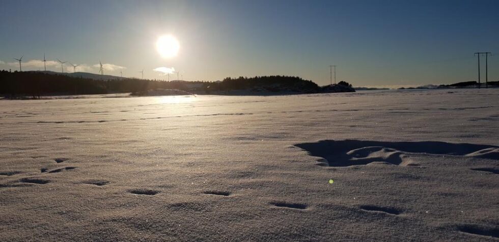 Nå er de kalde, fine dager over for denne gang.
 Foto: Lillian Lyngstad