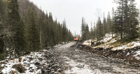Ekstra midler til skogsveger i Namdalen