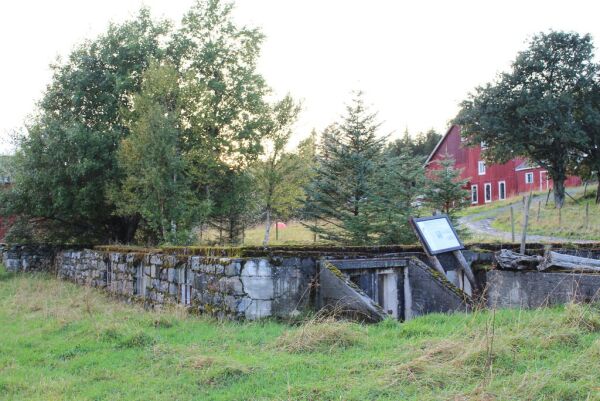 Arrangerer fototur til Nærøya