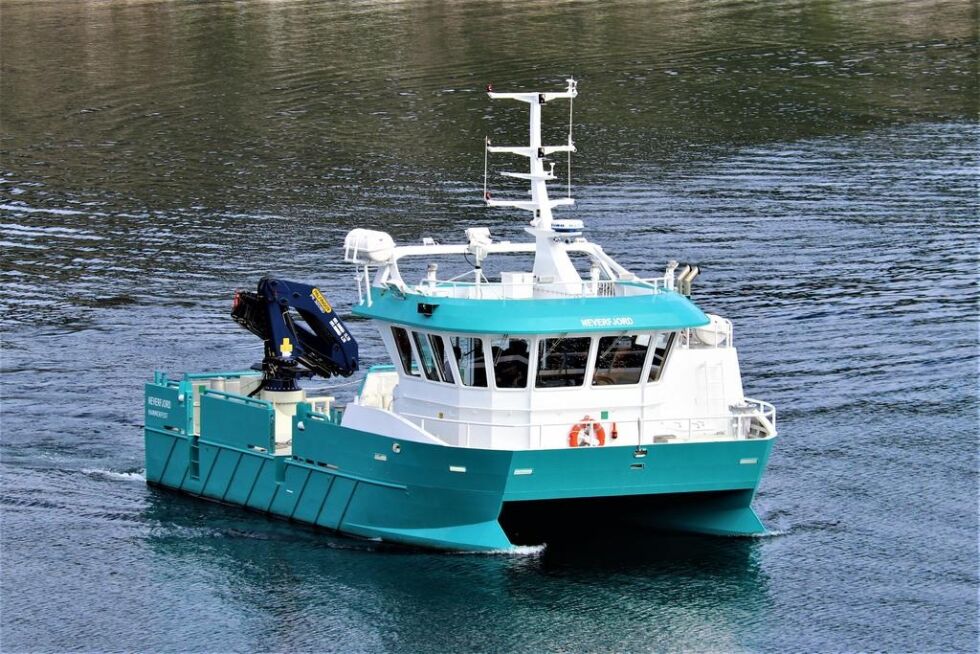 MS Neverfjord er den ene av to like katamaraner som Cermaq har fått overlevert fra Moen Marin den siste tiden.
 Foto: Moen Marin