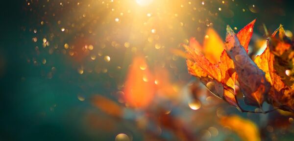 11. november: Nå blir det sol noen dager
