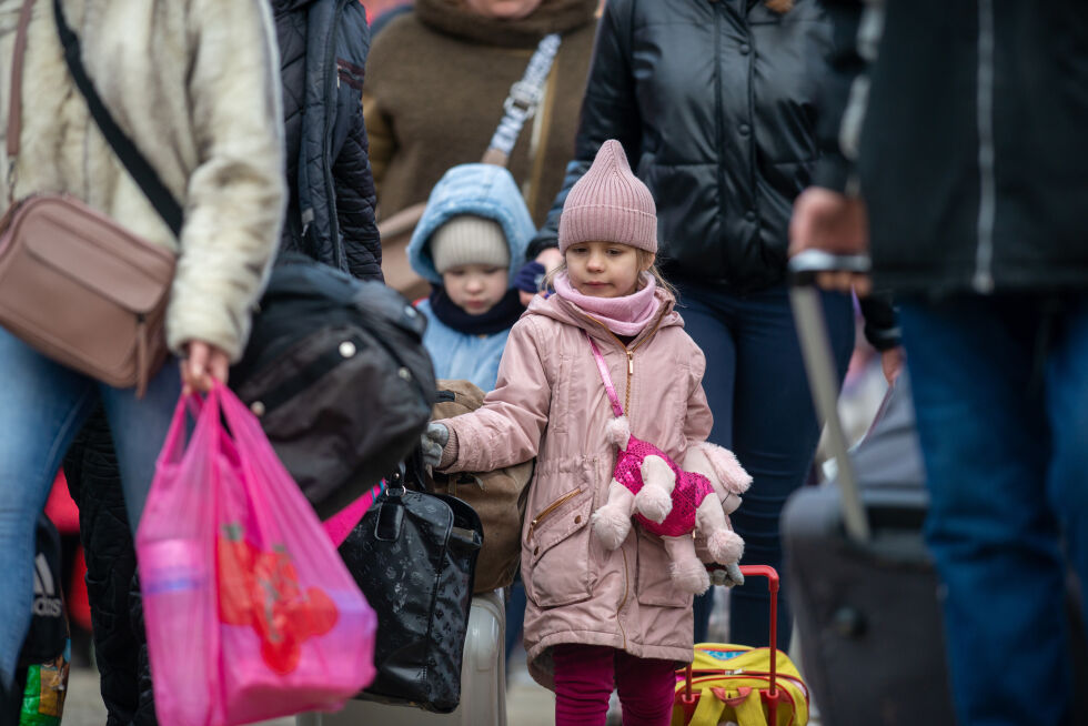 Ytterdistriktet får i dag beskjed om å ta imot inntil 175 ukrainske flyktninger.
 Foto: Pazargic Liviu / Shutterstock
