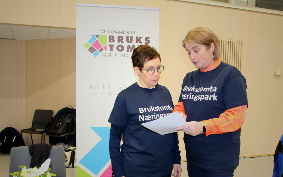 Britt Helstad er nestleder i styret til Brukstomta Næringspark i Bindal, mens Marit Dille er ny daglig leder og styreleder.
 Foto: Hild Dagslott