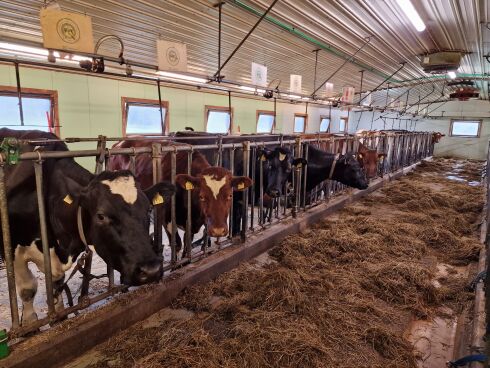 Får 650.000 kroner i tilskudd til veterinærdekning