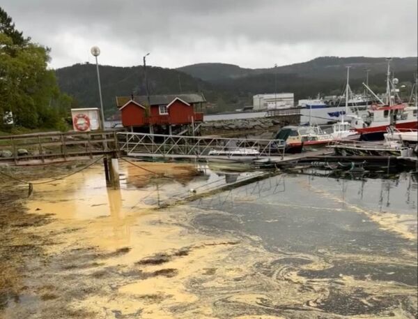 Pollenspredning på rødt nivå
