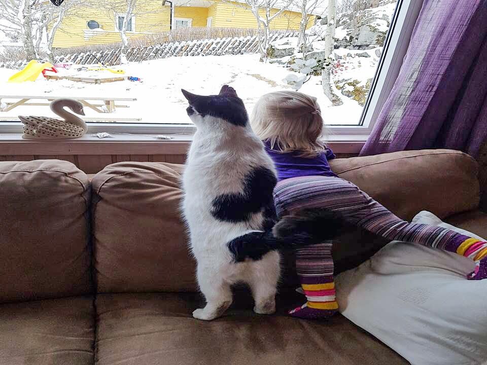 Dette er  Atlas og Vilja fra Rørvik. Her er de på hytta og feirer at Atlas har vært 1 år hos familien!