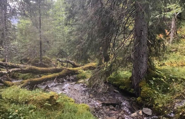 Vil verne området ved Horsbergvatnet