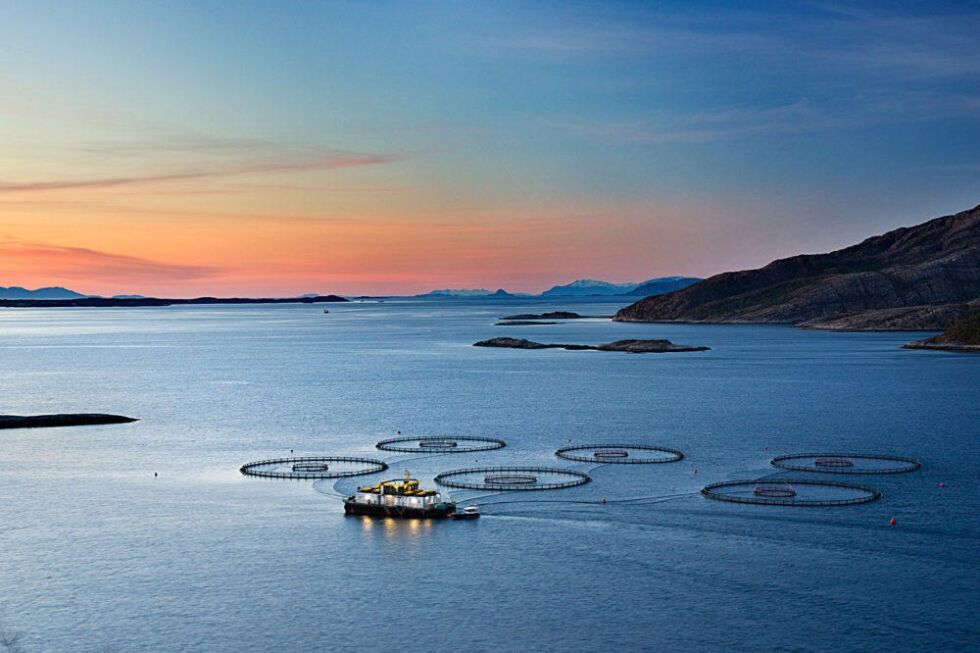 NTS ASA eier etter dagens aksjehandel over 50 prosent av Norway Royal Salmon.
 Foto: NTS