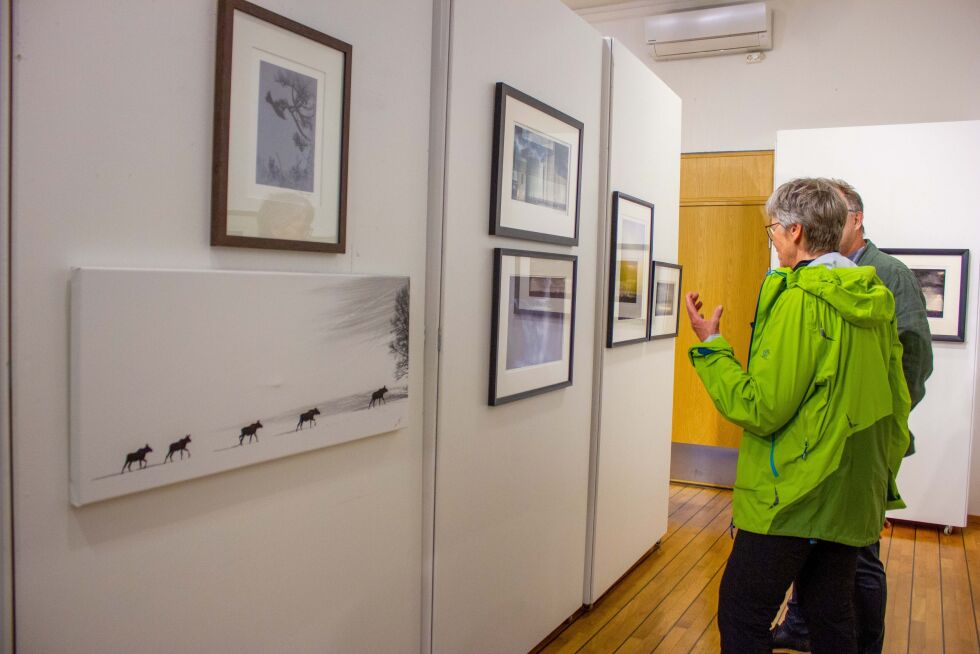 Kunstverkene i utstillingen kan også kjøpes hvis noen vil ha med seg et bilde hjem.
 Foto: Stine Vikestad
