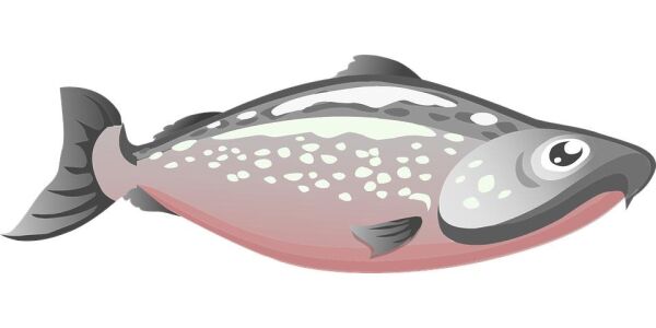 Vil skape biokull av fiskeslam