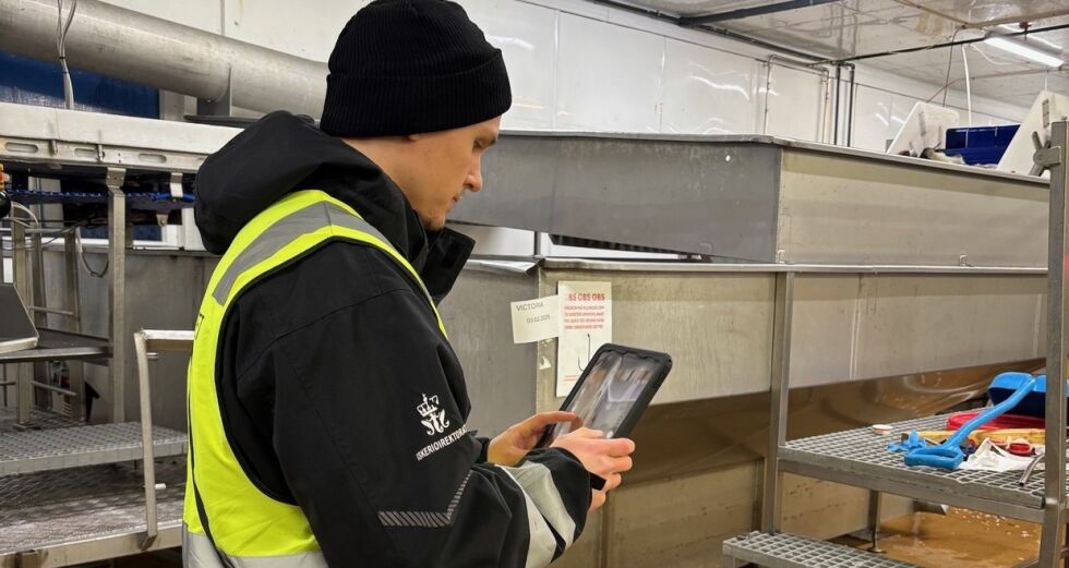 Kontrollørene kan dukke opp hvor som helst, døgnet rundt.
 Foto: Fiskeridirektoratet