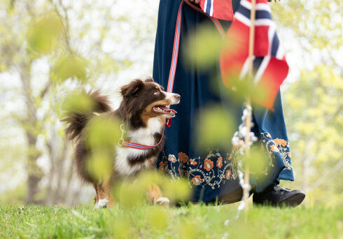 Tenk på dette på 17. mai